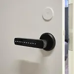 Bold - New Self Check-in In Center